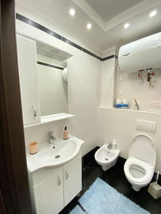 2 Bedroom Apartment, Botanica Apartamento *